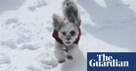 Spring Snow Sweeps Across The Uk In Pictures World News The Guardian