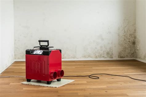 Will A Dehumidifier Get Rid Of Musty Smells Air Smartly