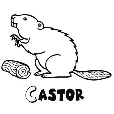 Dibujos Para Colorear De Bosques Y Animales | Dibujos I Para Colorear