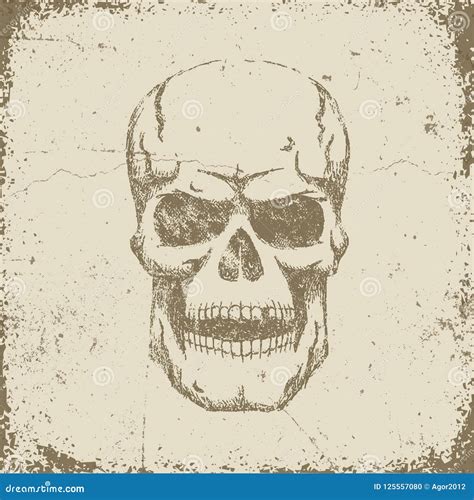 Vintage Retro Skull Stock Vector Illustration Of Bone 125557080