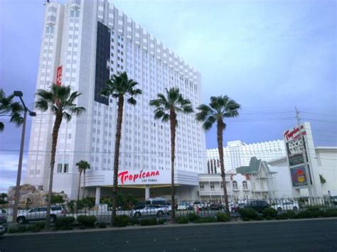 Tropicana Hotel Las Vegas Dermodydesigns