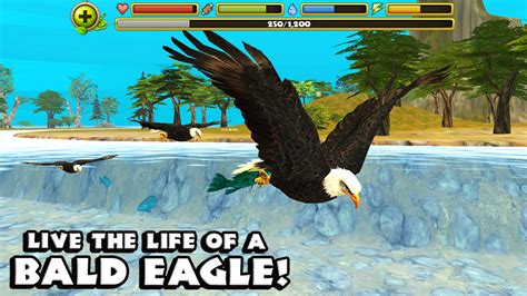 Doing business as gryphon games in 2007. Eagle Simulator - Android games - Download free. Eagle ...