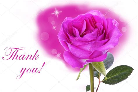 Pink Rose With Thank You Stock Photo By ©nelosa 38730207