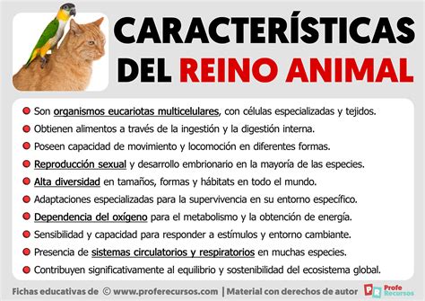 Características Del Reino Animal