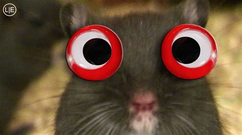 New Dramatic Mouse Lili 2 Big Red Eyes Dramatic Look Top 10 Kids