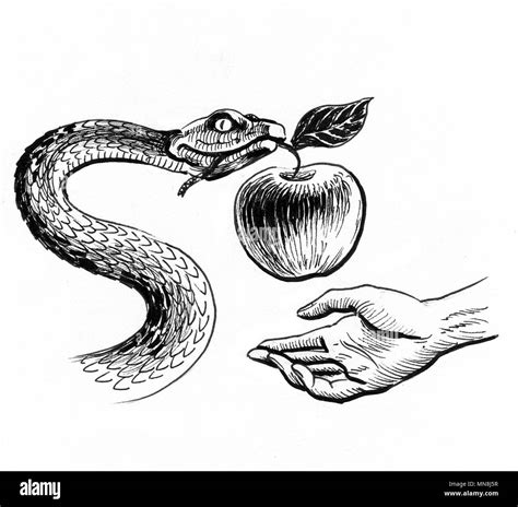 Snake Apple And Hand Ink Black And White Illustration Stock Photo Alamy