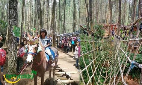 37 tempat wisata di sumedang terbaru yang lagi hits 2019. Tiket Dan Fasilitas Wana Wisata kampung Ciherang Sumedang ...