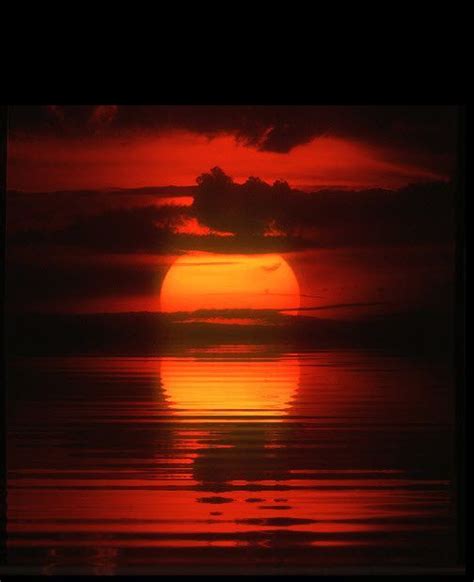 Sunset Flickr Photo Sharing Sunset Rose Red Sunset Sunrise