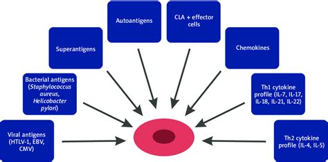 Pathogenesis Of Cutaneous T Cell Lymphoma Download Scientific Diagram