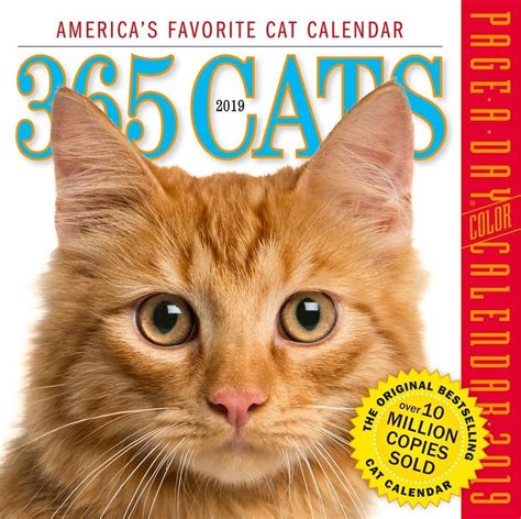 Buy 2019 365 Cats Colour Page A Day Calendar By Workman Publishing With