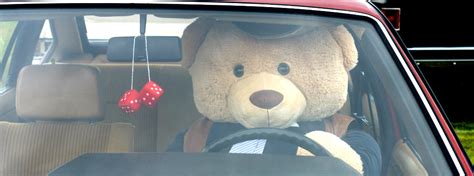 There are really only a. Teddy Go Home Pick-Up and Delivery