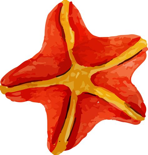 Free Starfish Watercolor Illustration Clip Art 13217657 Png With