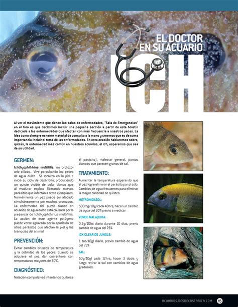 Revista Acuarios Desde Costa Rica Vol By La Magia De Los Peces