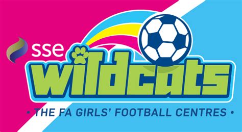 Club Sponsors Home Of Youth Football In Teddington