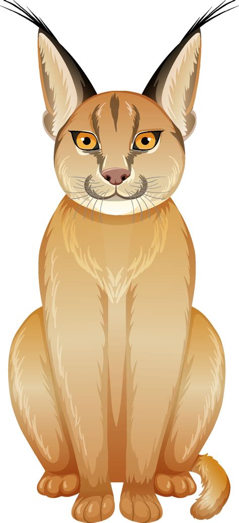 Caracal Vector Art Icons And Graphics For Free Download