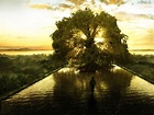 The Fountain - Tree of Life | The fountain movie, Tree of life, Tree of ...