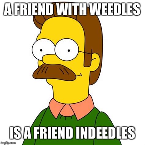 Ned Flanders Imgflip