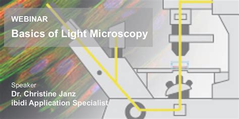 Basics Of Light Microscopy