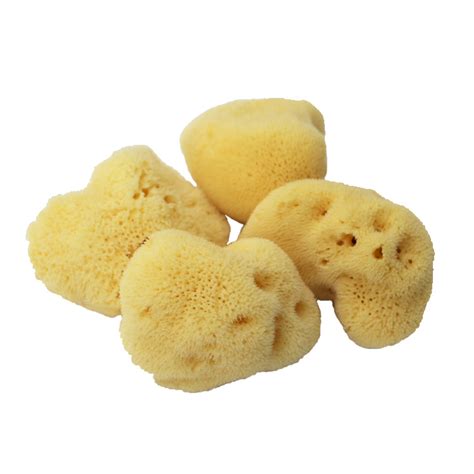 All Natural Renewable Sea Wool Honeycomb Sea Bath Sponge China Steel