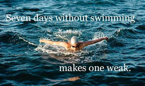 Funny Swimming Puns To Give Swimmers The Lols And Swimming Jokes