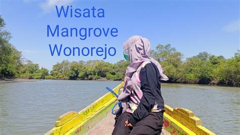 Wisata Di Mangrove Wonorejo Youtube