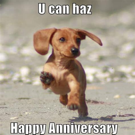 Every time you talk to your wife. Wedding Anniversary Meme For Wife, Husband and Loved Ones