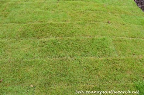Obviously it depends on how big and what shape your cartons are, what size and shape of pallet, how high you can stack the pallet without hitting things above and how heavy your goods are, because. Landscaping with Zeon Zoysia Grass Sod in a Front Yard
