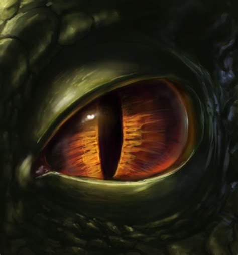 The Dragons Eye On Behance