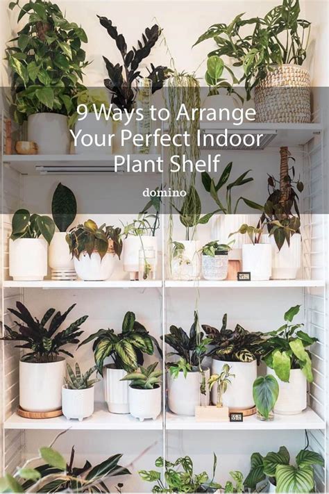 9 Ways To Arrange Your Perfect Indoor Plant Shelf Indoor Plant