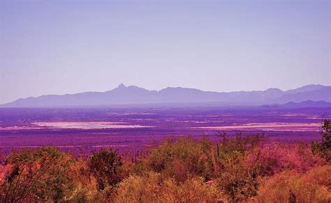 Desert Colors Photograph By C G Emilio Fine Art America