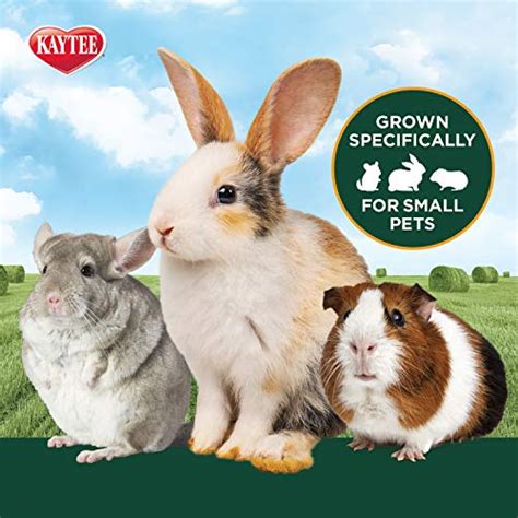 Kaytee All Natural Timothy Hay Plus Carrots For Pet Guinea Pigs