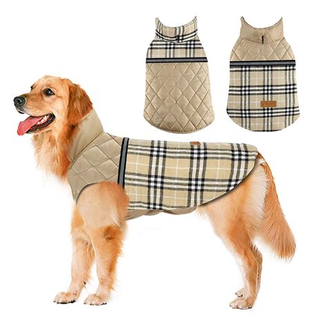 The 10 Best Dog Coats For Winter In 2022 Reviews
