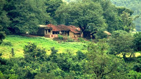 Top 7 Things To Do In Araku Valley Andhra Pradesh Trip101