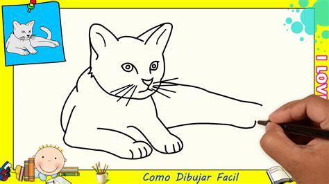 Gato Para Dibujar Facil Para Ninos Paso A Paso Dibujos De Gatos Lindas Imagenes De Gatos Para