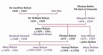 Boleyn Family Tree | Mary boleyn, Anne boleyn, Tudor era