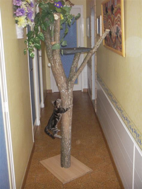 comment fabriquer un arbre à chat drbeckmann