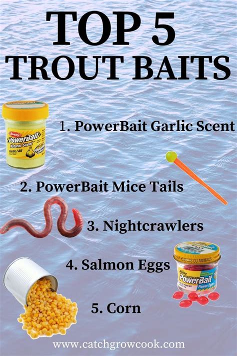 Top 5 Trout Baits For Lake And Pond Fishing Trout Bait Trout Fishing