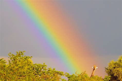 You Won't BELIEVE These Brilliant Photos of Rainbows! | Budget Travel
