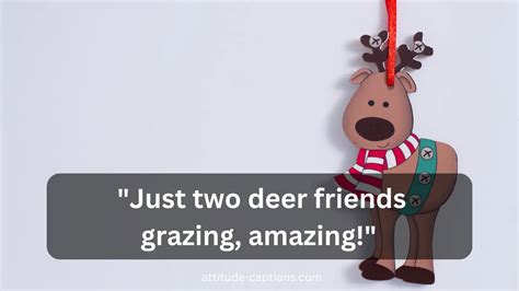 240 Funny Deer Captions Adding Wildlife Moments Attitude