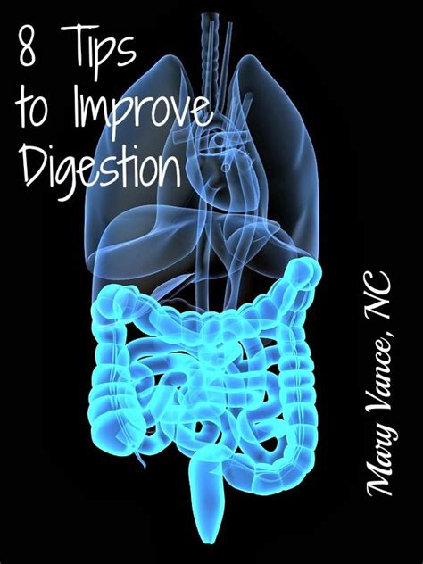 Pin On Digestion Health