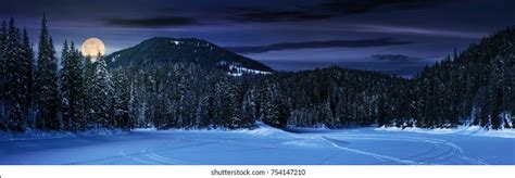 Snowy Meadow Spruce Forest Night Full Stock Photo 754147210 Shutterstock
