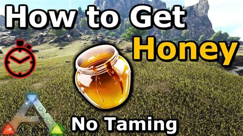 How To Get Giant Bee Honey Without Taming Beehive Trap Ark