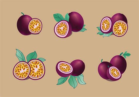 Passion Fruit Vector Pack 138506 Vector Art At Vecteezy