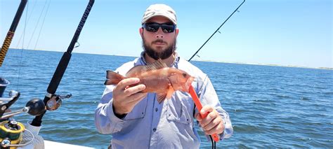 Fish Id Help Pensacola Fishing Forum