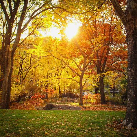 Autumn Sunset New York City Central Park Photograph By