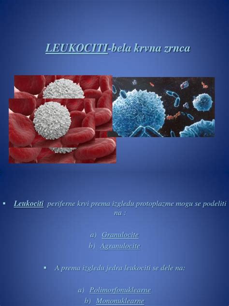 Leukociti I Trombociti