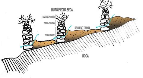 Esquema Formación De Relleno Huertos Download Scientific Diagram