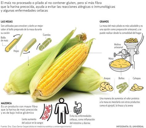 Arriba 101 Foto El Proceso Y Cultivo Del Maiz Actualizar