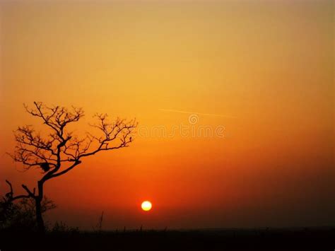 Peaceful Sunrise South Luangwa River Zambia Africa Stock Photo Image