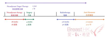 Treatment Timelineneoadjuvant Breast Cancer Hk 香港的乳癌治療資訊